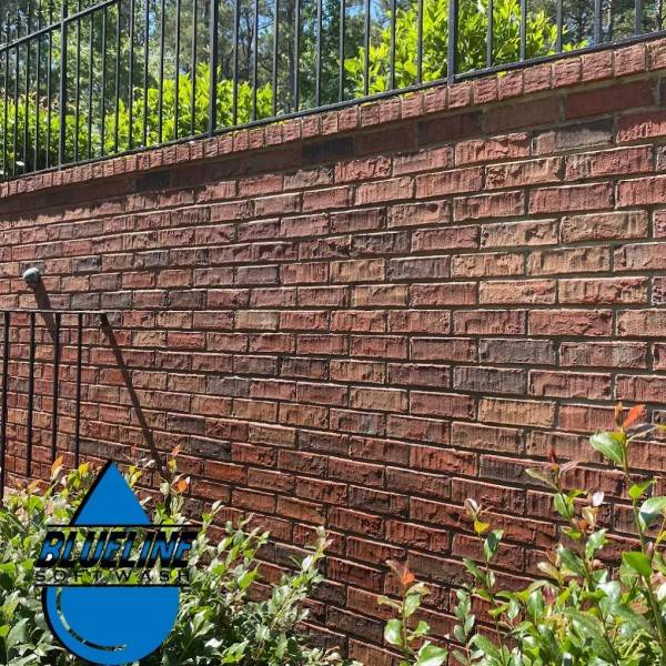 Soft Washing Services in Aiken, GA (1)